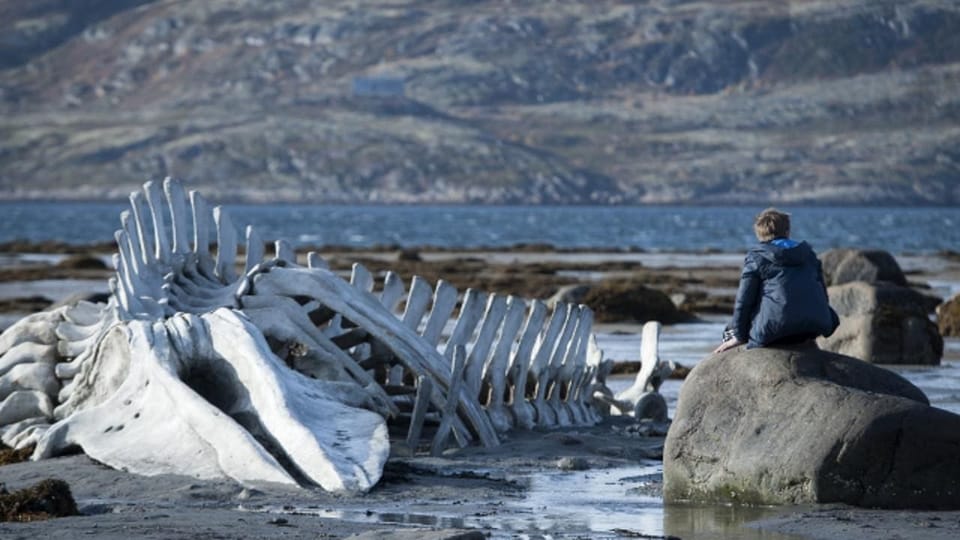 Leviathan (2014)